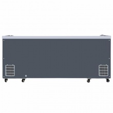 星星（XINGX） 商用大容量展示冷藏冰柜 卧式冷藏冷冻保鲜冷柜 鲜肉海鲜展示柜 SD/SC-700BY